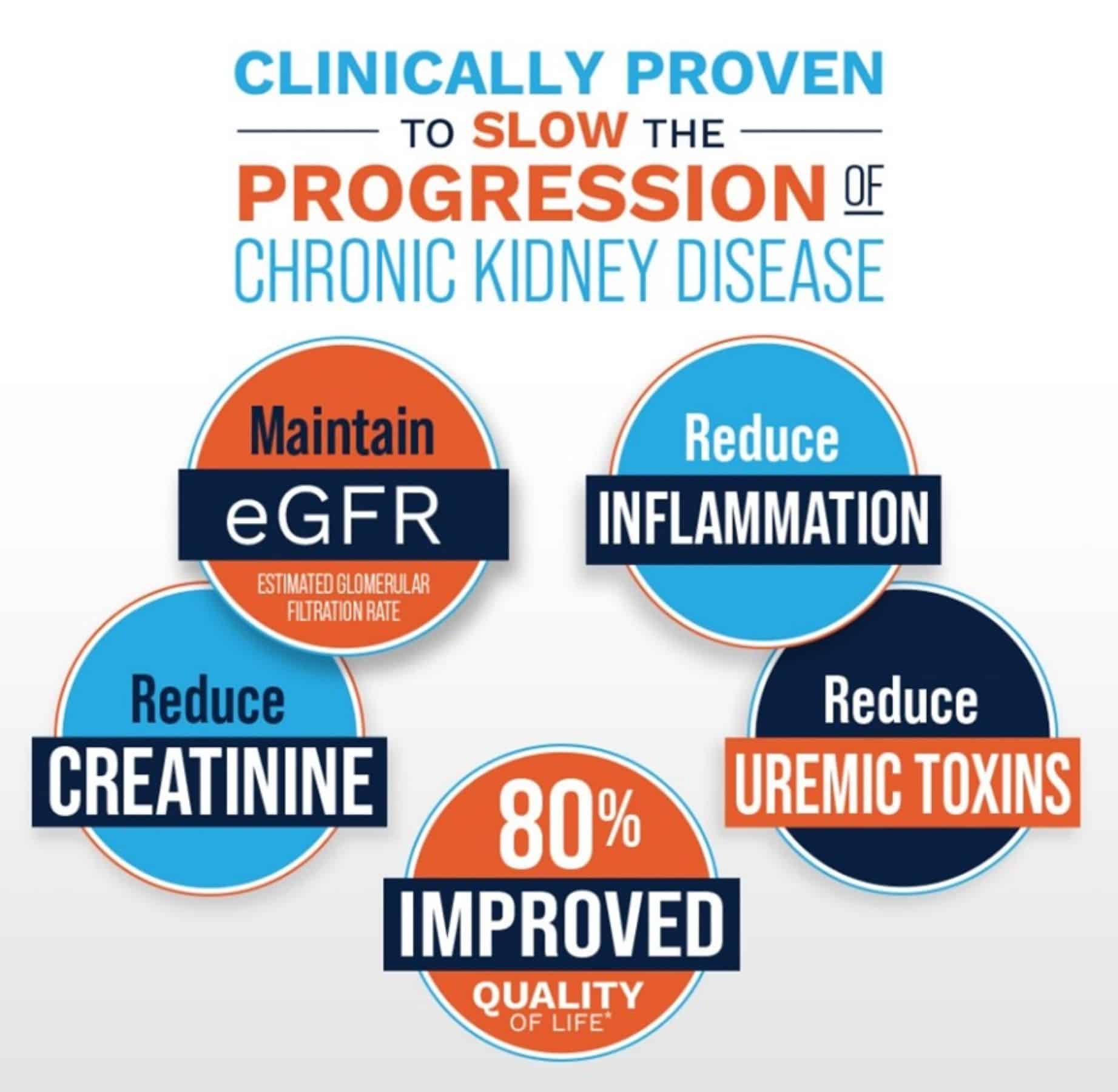 Image showing benefits of Renadyl for kidney disease: maintaining GFR, reducing inflammation, reducing creatinine and uremic toxins, and improved quality of life.